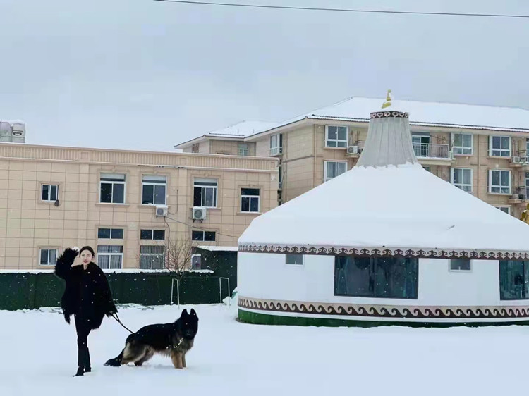 豪華鋼木裝修款蒙古包